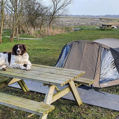 Basic 2P Tent Sotterum Hotel Kornwerd Buitenkant foto