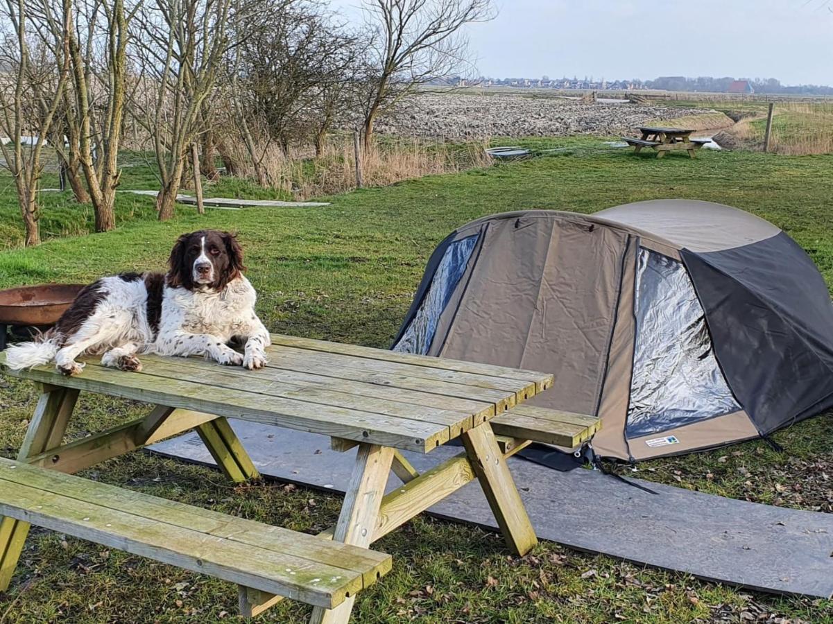 Basic 2P Tent Sotterum Hotel Kornwerd Buitenkant foto