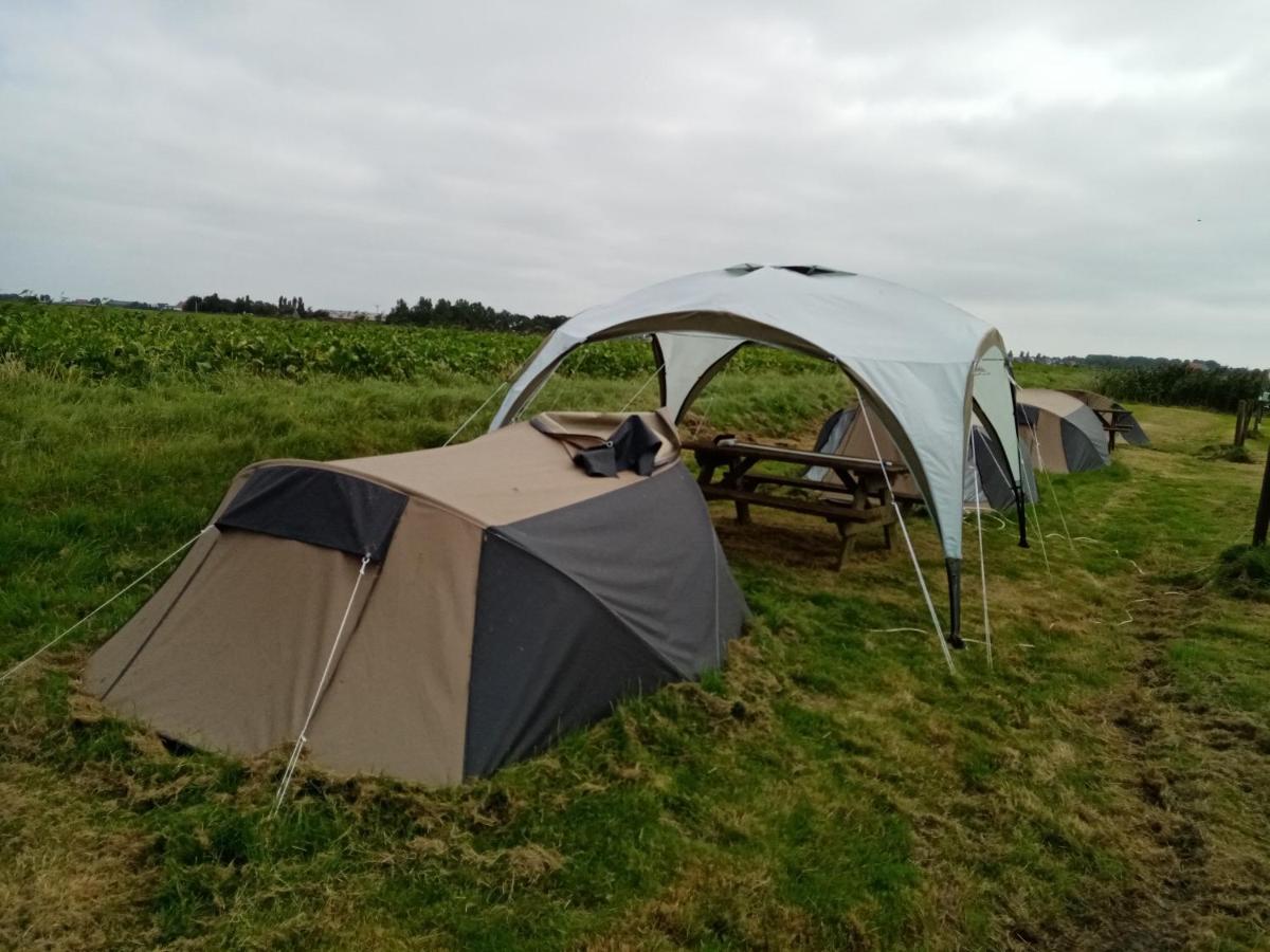 Basic 2P Tent Sotterum Hotel Kornwerd Buitenkant foto